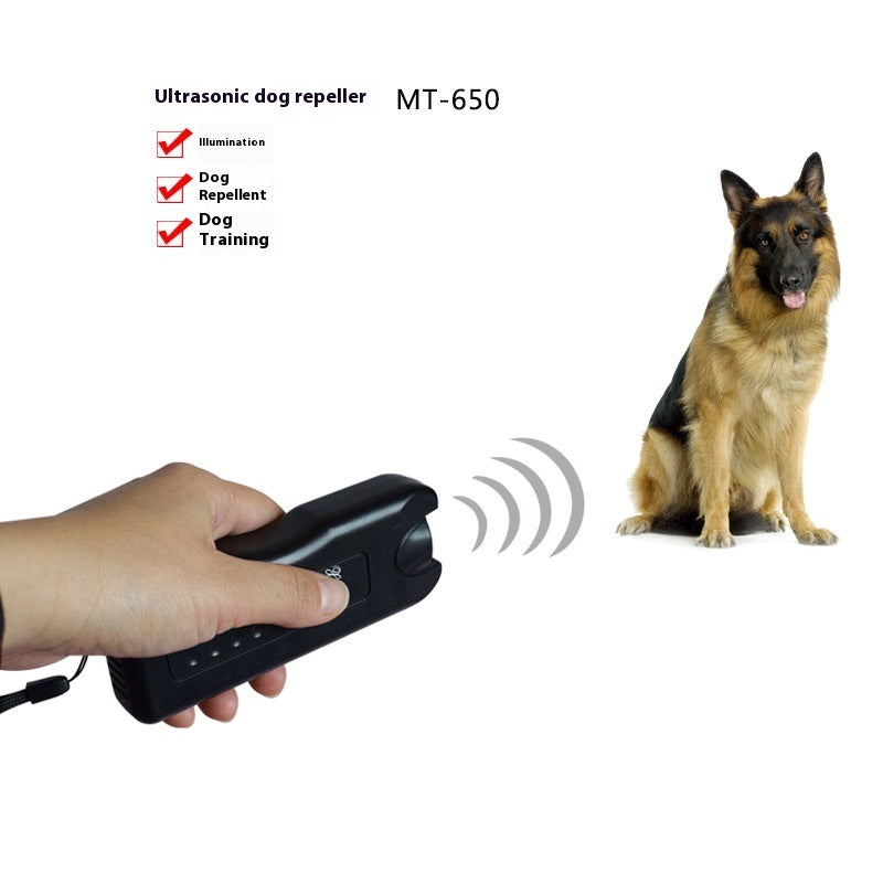 Dog drive ddd082b0 75f1 493b bcbe 6c8b80ef7708 trans