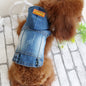 Summer Bichon Hooded Cowboy de71f4d2 abd2 4160 bacf 4e11c1607e76 c1049556 574b 4144 8023 1cd8f4b46058