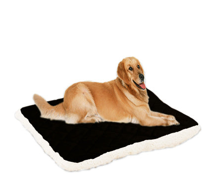 Pet ice silk cushion deb627b6 477d 44be 9386 ebda079c7171