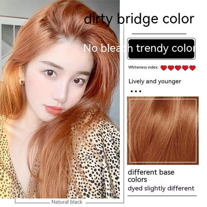 Ammonia-free Hair Color Paste Monochrome Paste Cover White Hair Multi-segment Color One-step Black Tea Gray Blue Black Hair D
