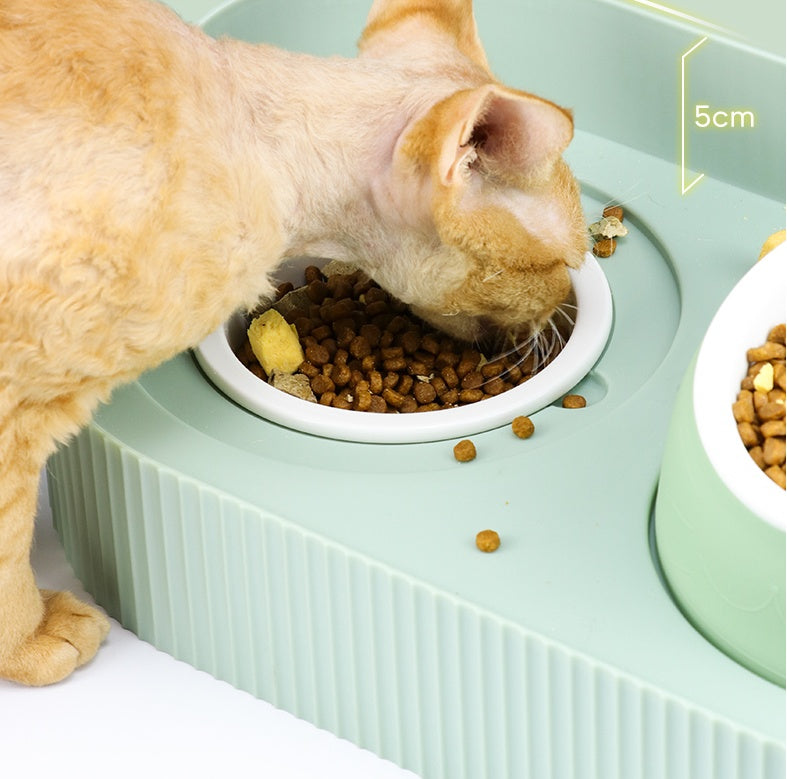 Pet Cat Bowl Ceramic Food Bowl Protect Cervical Spine Food Bowl Food Bowl e1b662ab b40c 4fd3 bfb2 c4295ac9ebfc