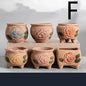 Ceramic Creative Indoor Succulent Plant Pots