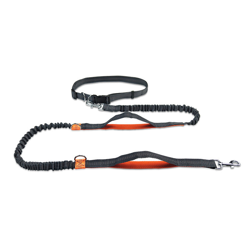 Multifunctional Running Reflective Double Telescopic Dog Leash Dog Chain Lead Rope e4ebd153 ca69 4a4f 86e2 cc0fef2a4135