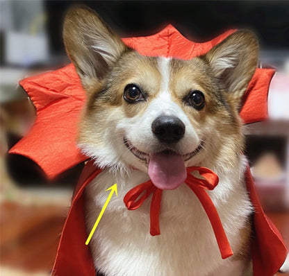 Halloween Pet Costumepet Halloween Cape Vampire King e5152ca7 fd35 40c7 ad2b 2cf2d76e723a