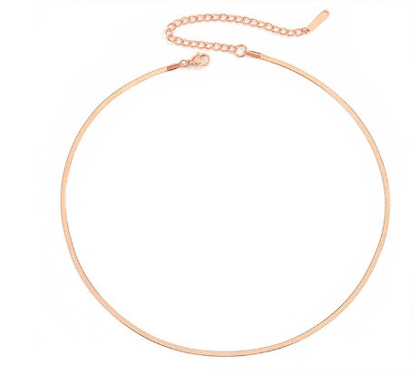 Titanium Steel Flat Snake Bone Chain Women's Short Necklace e545177a 2580 4c07 8a49 1005f88c1579