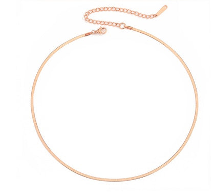 Titanium Steel Flat Snake Bone Chain Women's Short Necklace e545177a 2580 4c07 8a49 1005f88c1579