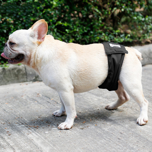 Male Dog Restraint Courtesy Belt Pet Supplie  Washable Sanitary Diapers e6cb2bb1 4764 40d8 b86a c7fd2a2479b6