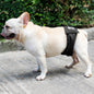 Male Dog Restraint Courtesy Belt Pet Supplie  Washable Sanitary Diapers e6cb2bb1 4764 40d8 b86a c7fd2a2479b6 fe75b354 db7b 4c