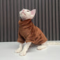 Fashion Personality Ren Fa Cai Hairless Cat Clothes e7c28605 6cfb 4f97 b245 fb20417b9ea8 7b2adf0e 9564 4d9a 9db4 48fd49bf3fe8
