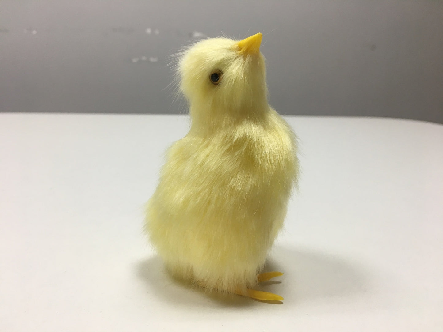 Animal Doll Children Teaching Static Model Chick Decoration e7edad54 38b1 4c5f 8106 ee5147bee866