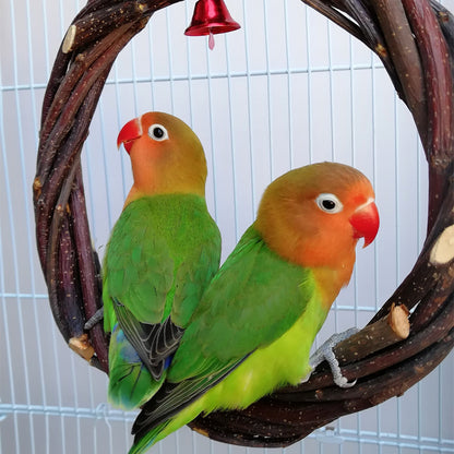Bird Standing Frame Rattan Ring Chewing Toy Bird Cage e85748ca 8eaa 4136 9b1f 2051cb848f50