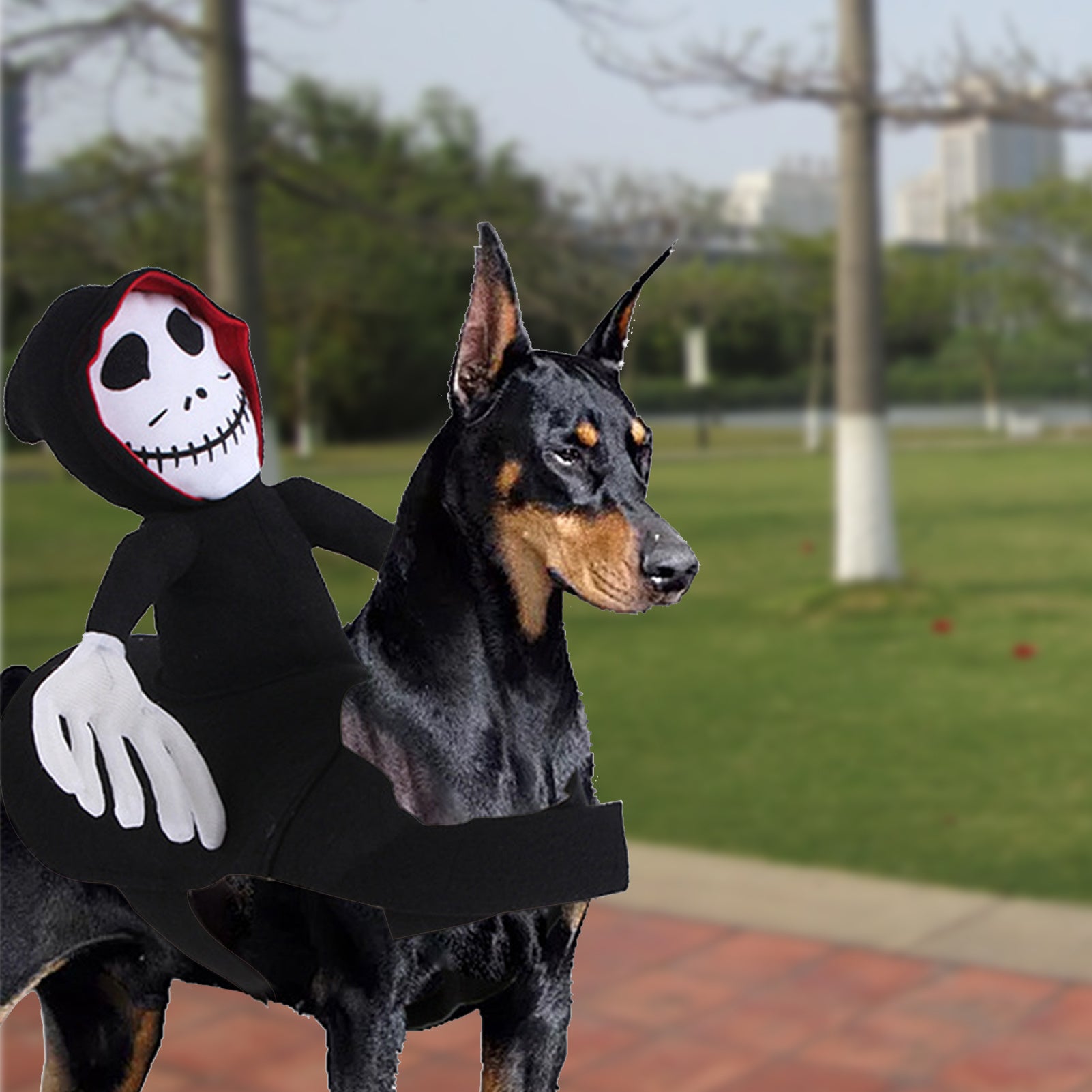 NEW Funny Pet Halloween Costume Halloween Pet Decoration Dress Up Pet Cosplay Costume Halloween Pet Clothes Spider Pumpkin Ve