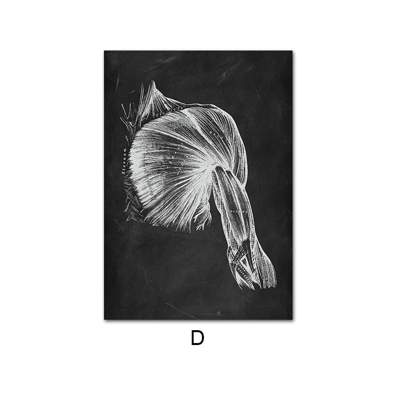 Canvas Painting Of Human Anatomy Skeleton Organ System - 图片 9
