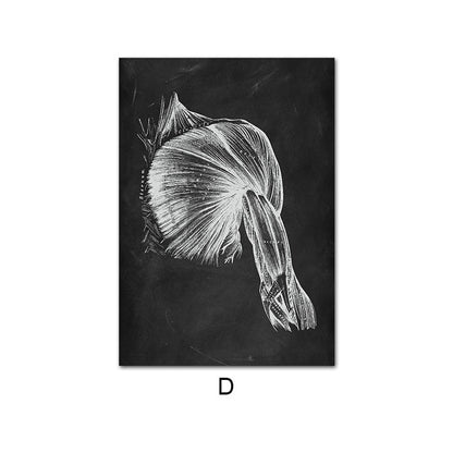 Canvas Painting Of Human Anatomy Skeleton Organ System - 图片 9