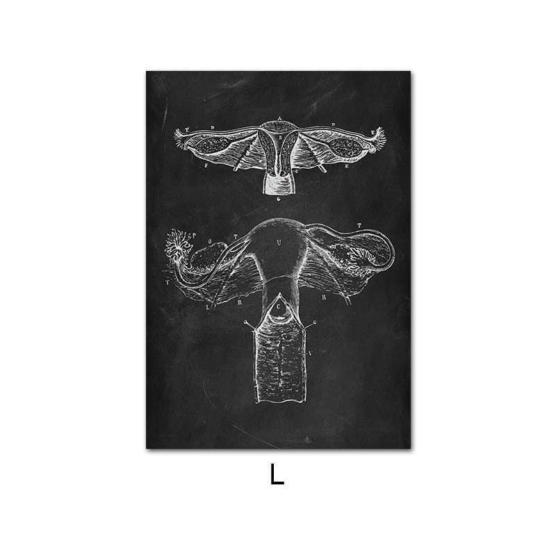 Canvas Painting Of Human Anatomy Skeleton Organ System - 图片 4