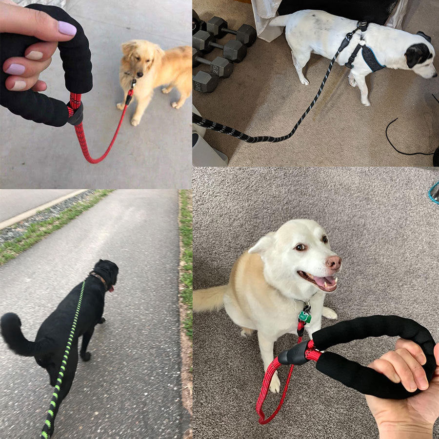 Small Medium Sized Pet Dog Luminous Leash Chain Puppies ee04fa9e c567 4099 999d 62025a20f584