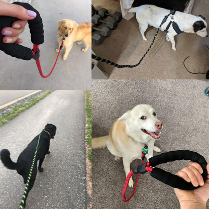 Small Medium Sized Pet Dog Luminous Leash Chain Puppies ee04fa9e c567 4099 999d 62025a20f584