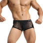 Men's Underwear Breathable Sexy Nylon Mesh Underwear Youth Boxer Briefs eebd9dc0 5b5e 446b 9311 b7b9692656ec
