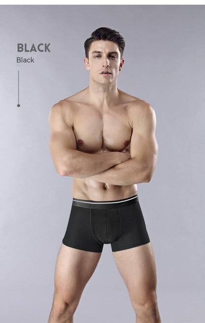 Ice Silk Full Mesh Large Size Men's Underwear Cotton Crotch Mid-waist Boxers efb44cf0 d301 4d99 b8b6 367e82bcba2d trans