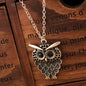 Necklace Personalized Fashion Retro Three-color Owl Alloy Necklace New Women's Exquisite Sweater Chain f0443b14 ba6c 4ea4 88a