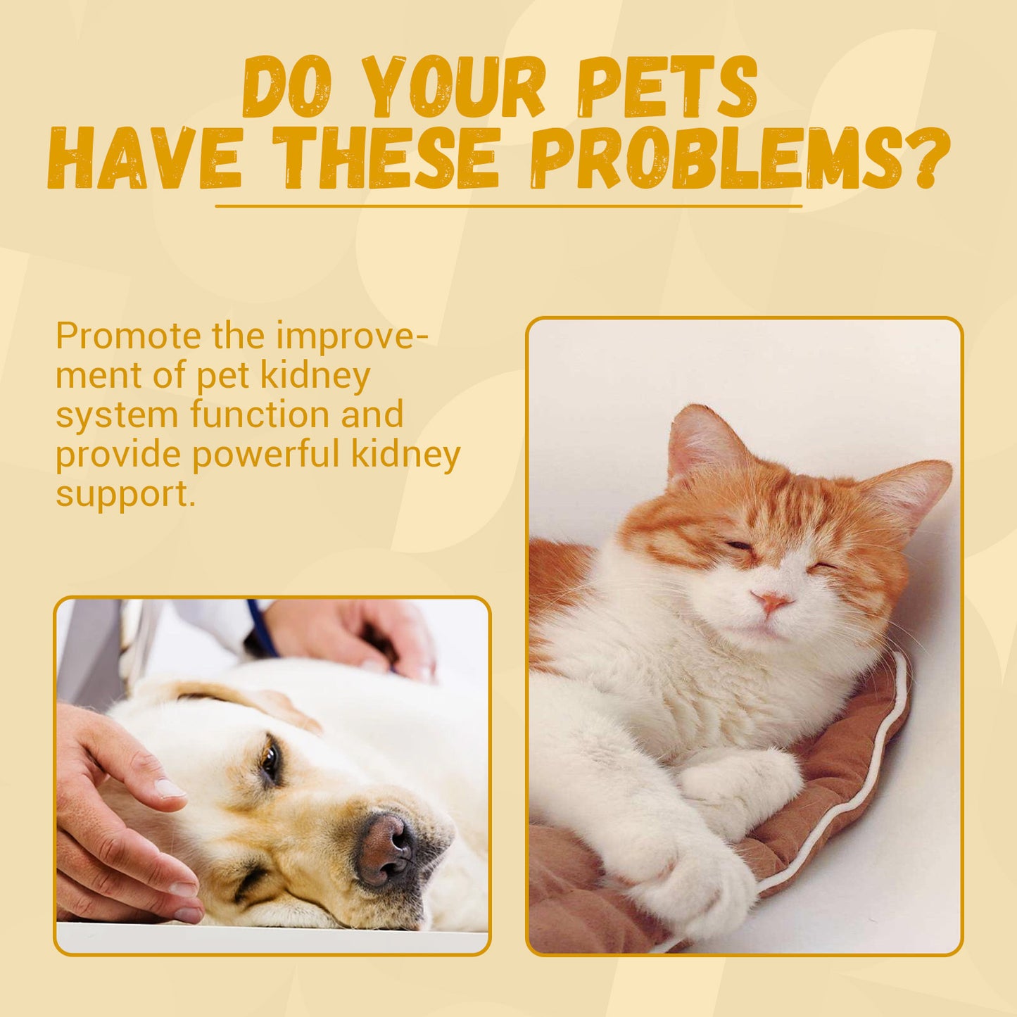 Pet Nutritional Supplements Enhance Energy Vitality f05220d5 9526 4375 9bfa 00037b2ea31d