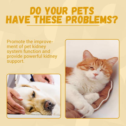 Pet Nutritional Supplements Enhance Energy Vitality f05220d5 9526 4375 9bfa 00037b2ea31d