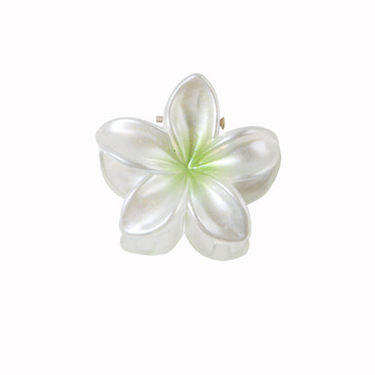 Small Size 4cm Pearlescent Flowers Barrettes Sweet Plumeria Rubra f0962465 5d17 4487 9fc2 a84a2138e10e
