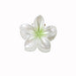 Small Size 4cm Pearlescent Flowers Barrettes Sweet Plumeria Rubra f0962465 5d17 4487 9fc2 a84a2138e10e