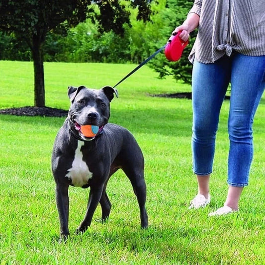 Pet Toy Dog Molar Long Lasting Sounding Training Ball f1be8385 c7ac 4052 b01b ce09f4745888