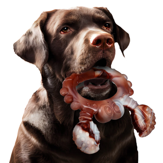 New Popular Nylon Durable Dog Chewing Toy f291fc49 48a2 40b3 a19d a24423f36311