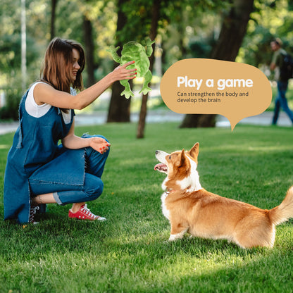 Hot-selling Pet Plush Toys Sound And Bite-resistant Companionship Golden Retriever Magic Fight Teddy Dog Toys New Doll f314d6