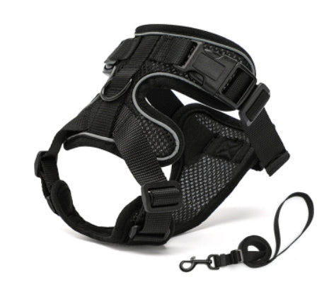 PawProwl-Walking Cat Harness f31d3699 9e9a 407c 9fb3 2e7e7ec68b72