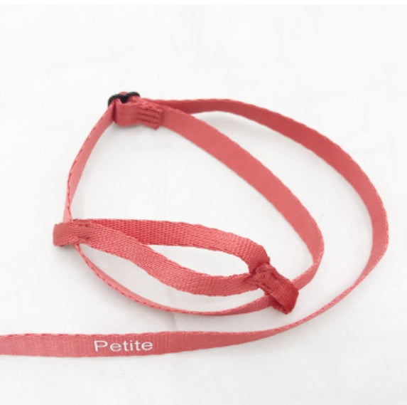 Parrot Flying With Flying Rope And Bird Harness f36bd0a0 7de2 4004 a589 d3d1052635ee