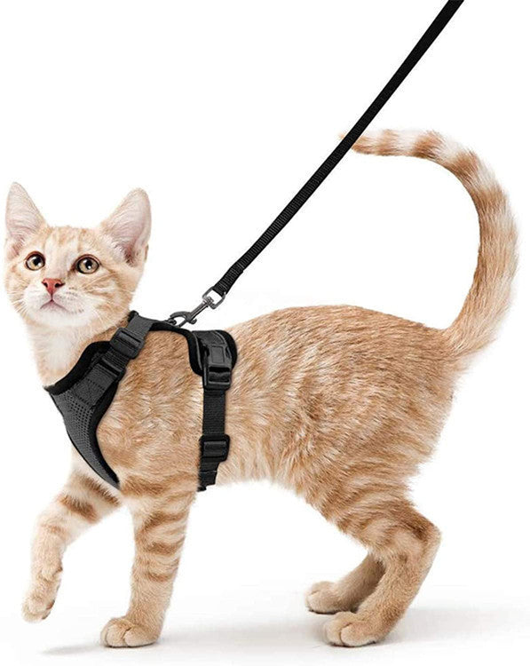 Breathable Chest Strap Reflective Anti Breaking Loose Hand Holding Rope f3ac1ff1 3291 4574 a8cd 2dbc26e1d14e
