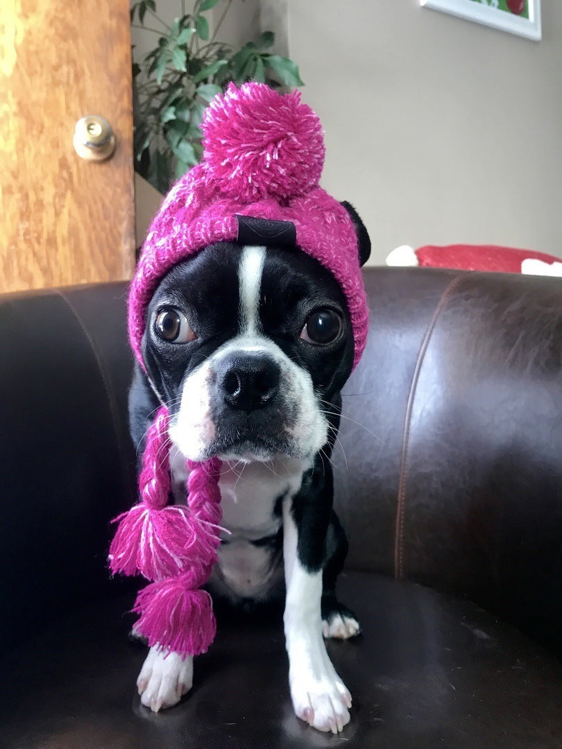 Wool Ball Thermal And Windproof Puffy Ball Knitted Dog Hat f653f24c 51c2 4eb2 b83c cf18041575c6