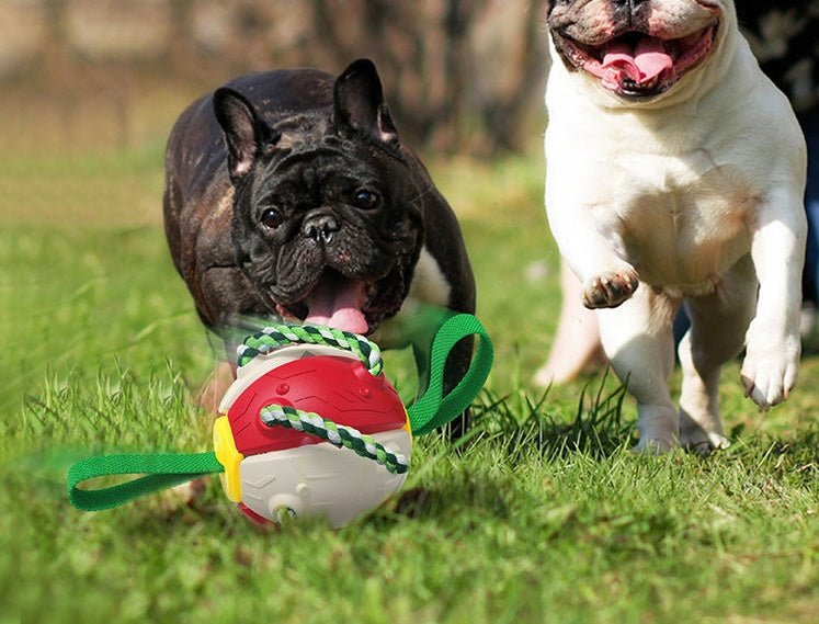 Interactive Dog Football Soccer Ball With Tabs Inflated Training Toy Outdoor Border Collie Balls Pet Products f7c4e89e 1231 4