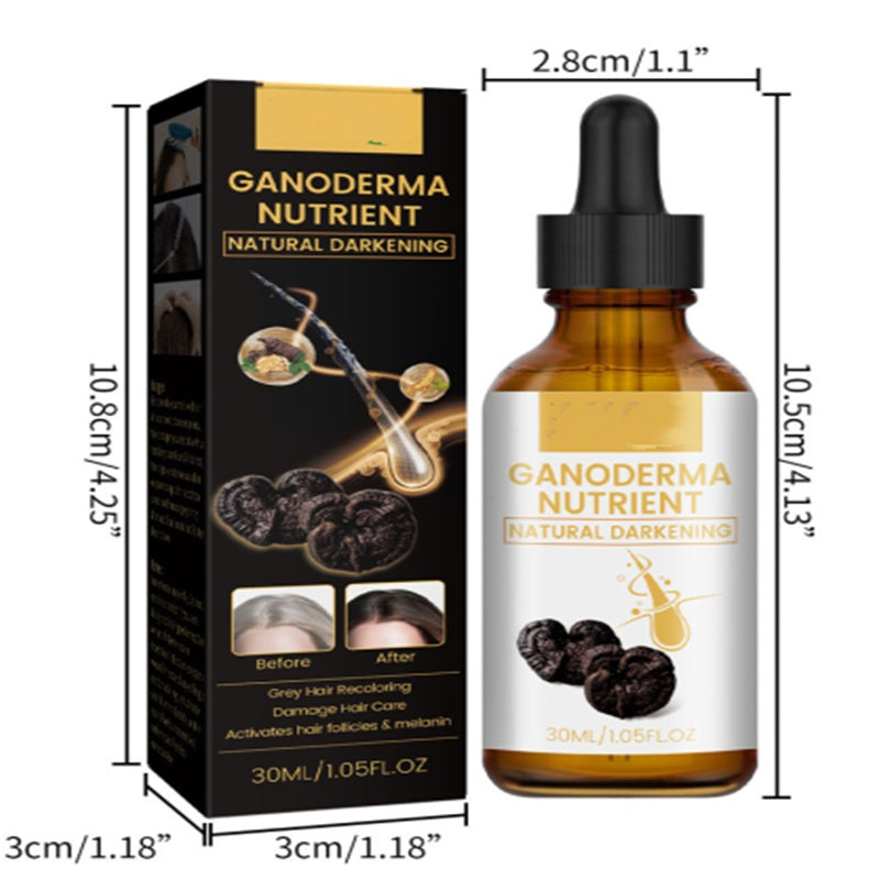 Hair Care Moisturizing Hair Repair Massage f81ca32d 076e 4f17 811c e0bd6963d34e