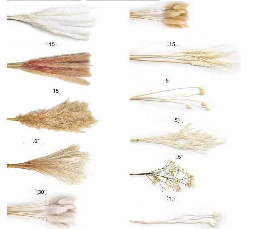 Dried Reed Flower Rabbit Tail Grass Flower Arrangement Ornaments fb187135 fe21 4998 aa0a 15cc59fa122d