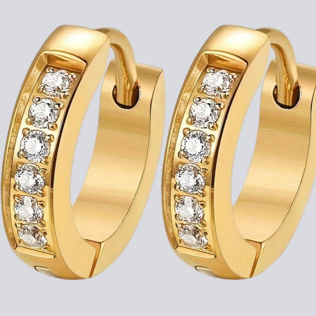 Female Leisure Haoshi Fashionable Titanium Steel Earrings fb4cd2c7 883b 4337 8bab c00ff5ed1f8a