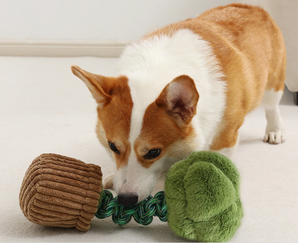 Pet Dog Bite-resistant Cord Teether Knot Toy fbcd7da1 c8e0 429b 9fa0 949239f302c2