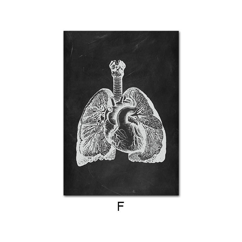 Canvas Painting Of Human Anatomy Skeleton Organ System - 图片 11