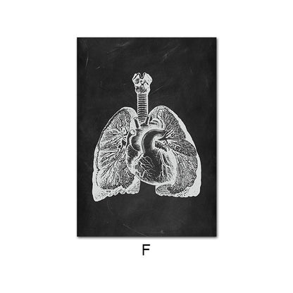 Canvas Painting Of Human Anatomy Skeleton Organ System - 图片 11
