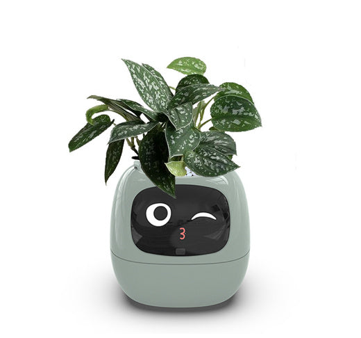Smart Planter Endless Fun Over 49 Rich Expressions 7 Smart Sensors And AI Chips Make Raising Plants Easy And Fun fc0b079e 217