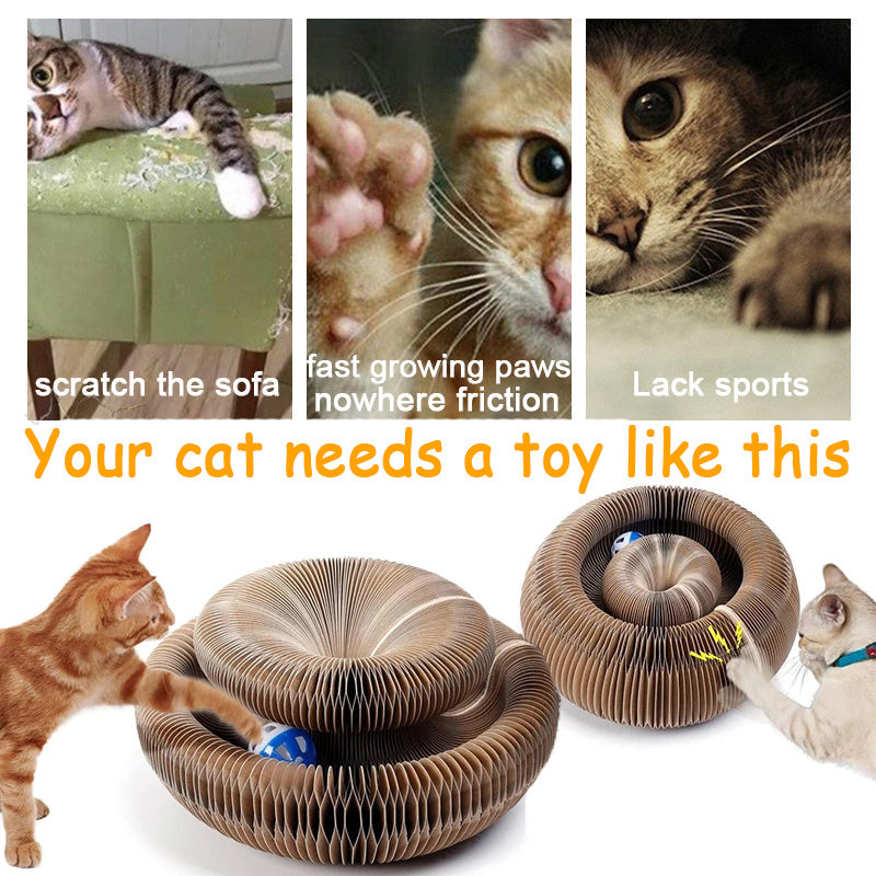 Pet Magnetic Folding Organ Toy Cat Scratch Board fc8d0704 9cf1 4f34 92bb 43493a75e928