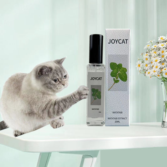 Household Personalized Cat Happy Water fd022ee1 b53e 47ff aa38 cec9ec4fabd7