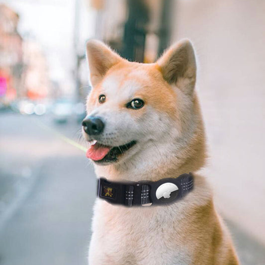Pet Products Mobile Phone Tracker Protector fd2972f4 4a7b 4ba3 9dba fc53a2468989