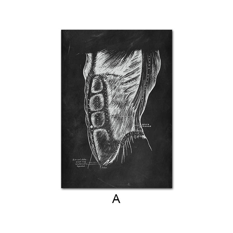 Canvas Painting Of Human Anatomy Skeleton Organ System - 图片 6