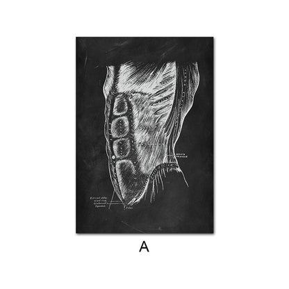 Canvas Painting Of Human Anatomy Skeleton Organ System - 图片 6