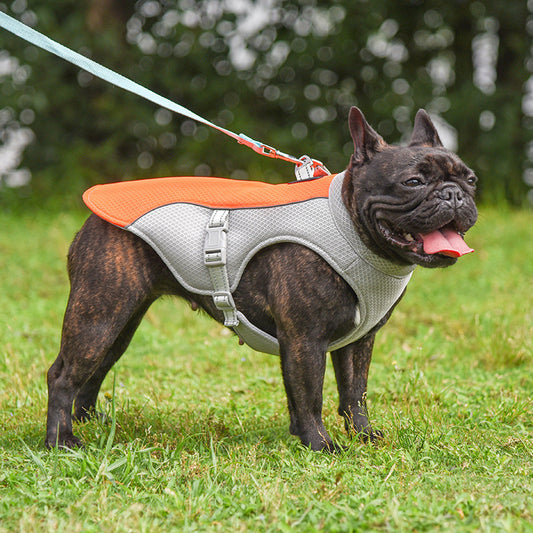 Summer Pet Outdoor Breathable Cooling Vest ff4f04fe e5cb 4733 9edf d4fb93a6af79